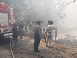 Kebakaran Lahan di Bogor Akibat Bakar Sampah, Polisi Ingatkan Acaman Pidana