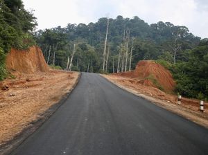 Jalan Perbatasan Kalbar Tembus Kaltim Dikebut Rampung 2024, Begini Progresnya Jalan Perbatasan Kalbar Tembus Kaltim Dikebut Rampung 2024, Begini Progresnya