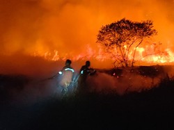 Lahan Kosong Terbakar di Jalan Indralaya-Palembang Berhasil Dipadamkan