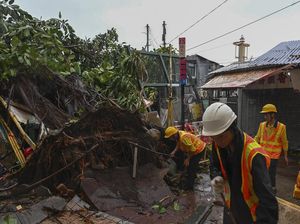Potret Kerusakan Akibat Topan Saola di Hong Kong Potret Kerusakan Akibat Topan Saola di Hong Kong