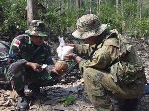 Momen Tentara Asing Belajar Survival Makan Biawak-Kobra dari Marinir TNI AL Momen Tentara Asing Belajar Survival Makan Biawak-Kobra dari Marinir TNI AL