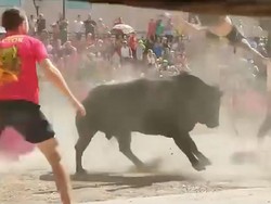 Horor! Turis Ditanduk Banteng Sampai Terbang