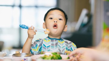 4 Sasaran Kebijakan Badan Gizi Nasional: Anak Sekolah-Ibu Hamil