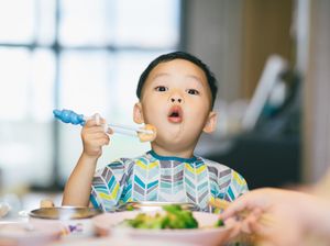 4 Sasaran Kebijakan Badan Gizi Nasional: Anak Sekolah-Ibu Hamil