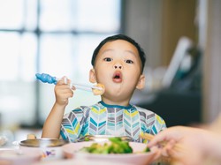 4 Sasaran Kebijakan Badan Gizi Nasional: Anak Sekolah-Ibu Hamil