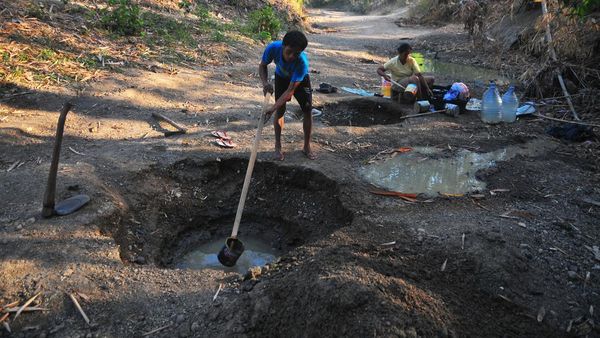Dampak Kekeringan di Grobogan yang Bikin Miris