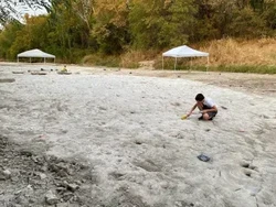 Sungai Mengering Ungkap Jejak Dinosaurus dari 110 Juta Tahun Lalu