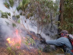 Kebakaran Hutan Gunung Welirang Meluas, Jalur Pendakian Tutup Total