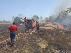 Lahan 2,6 Hektare di Belakang Kampus UNIRA Pamekasan Terbakar