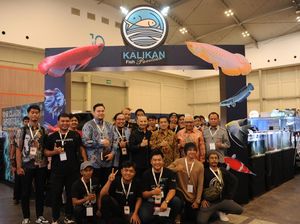 KKP Optimistis Indonesia Jadi Pengekspor Ikan Hias Terbesar di Dunia