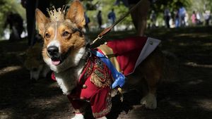 Parade Anjing Corgi Kenang Satu Tahun Kepergian Ratu Elizabeth II