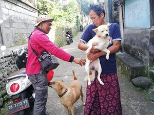 76 Persen Anjing di Klungkung Disuntik Vaksin Rabies-Denpasar Bentuk Tisira 76 Persen Anjing di Klungkung Disuntik Vaksin Rabies-Denpasar Bentuk Tisira