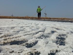 Mimpi Serapan Garam Rakyat dari Indramayu ke Industri Belum Tercapai