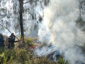 Sisa Bara Api Kembali Membakar Gunung Arjuno di Pasuruan Sisa Bara Api Kembali Membakar Gunung Arjuno di Pasuruan