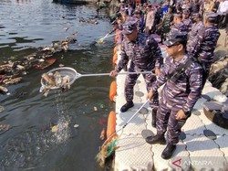 Dipimpin KSAL, 13.500 Personel TNI AL Serentak Terjun Bersihkan Sungai