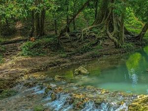 5 Wisata Hits di Bojonegoro, Ada Taman Bermain hingga Air Terjun