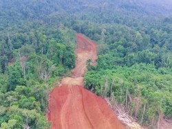 Mengenal Togutil, Suku Primitif yang Mendiami Hutan Halmahera Timur
