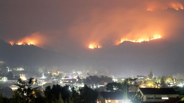 Api membakar hutan dan lahan (karhutla) kawasan Gunung Arjuno terlihat di Prigen, Pasuruan, Jawa Timur, Selasa (5/9/2023). Menurut data Badan Penanggulangan Bencana Daerah (BPBD) Jawa Timur kebakaran hutan dan lahan di kawasan Gunung Arjuno meluas di 156 titik dengan luas lahan yang terbakar sekitar 3.910 hektare. ANTARA FOTO/Umarul Faruq