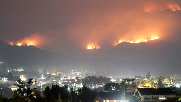 3.910 Hektare Lahan dan Hutan di Gunung Arjuno Terbakar