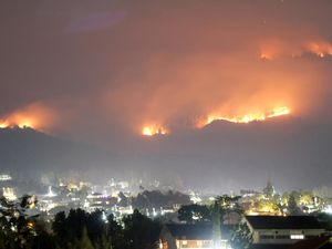 3.910 Hektare Lahan dan Hutan di Gunung Arjuno Terbakar