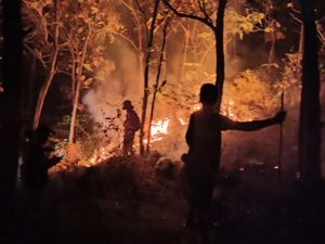5 Hektare Hutan di Soppeng Terbakar Diduga karena Puntung Rokok