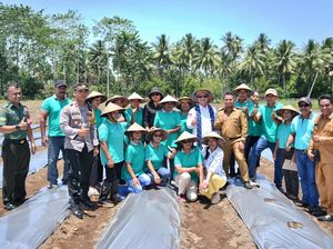 Kemendes Harap Hasil Panen Program TEKAD Dipasarkan oleh BUMDesa