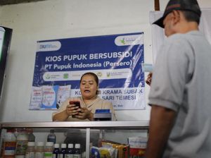 Petani di 3 Daerah Ini Juga Bisa Tebus Pupuk Subsidi Pakai KTP