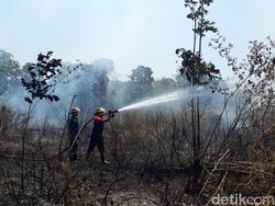 Bikin Panik! Semak Setinggi Rumah di Pulisen Boyolali Terbakar Hebat