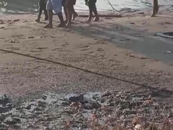 Kapal Nelayan Banyuwangi Tenggelam, 4 ABK Tewas, 3 Orang Hilang