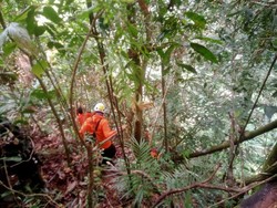 Kakak-Adik 4 Hari Hilang di Hutan Masgo, Tim SAR Turun Tangan