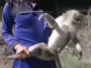 Hiiii! Suara Mirip Kuntilanak Terekam Kamera di Margadana Tegal Hiiii! Suara Mirip Kuntilanak Terekam Kamera di Margadana Tegal