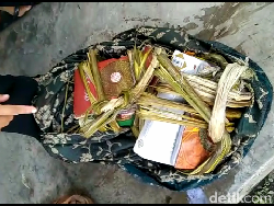 Geger 16 Al-Quran Ditemukan di Saluran Irigasi Sawah Lumajang