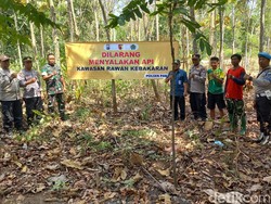 Langkah Forkopimka Pamekasan Cegah Kebakaran Hutan dan Lahan