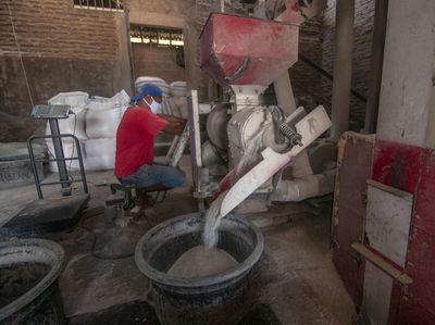 Produksi Anjlok, Harga Beras Mulai Naik!