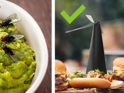 Ini Cara Jitu Makan di Luar Tanpa Dikerubungi Lalat