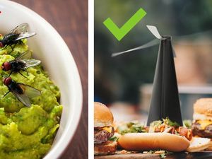 Ini Cara Jitu Makan di Luar Tanpa Dikerubungi Lalat Ini Cara Jitu Makan di Luar Tanpa Dikerubungi Lalat