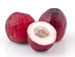 Manfaat Jambu Jamaika bagi Kesehatan Tubuh dan Ibu Hamil