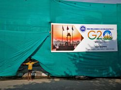 Jelang KTT G20, India Tangkap Ratusan Anjing Liar