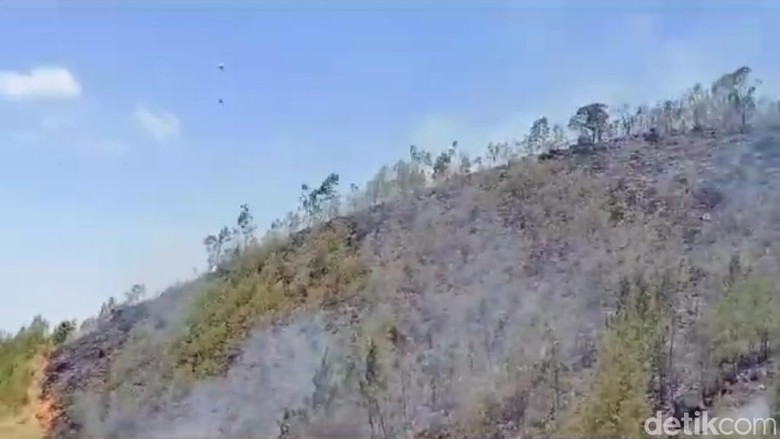 Kebakaran Gunung Arjuno Belum Padam, 4.403 Hektare Hutan dan Lahan Ludes