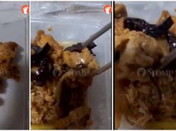 Duh! 5 Pembeli Ini Nyaris Telan Kecoak Akibat Kelalaian Restoran