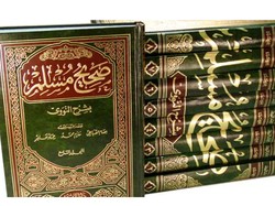 Imam Muslim, Ulama yang Tertarik pada Hadits Sejak Masih Belia