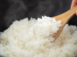 Makan Nasi Bikin Gendut dan Tak Cocok Buat Diet, Ini Kata Ahli Gizi