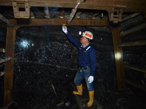 Pendapatan Naik, Laba Bersih Bukit Asam Malah Turun