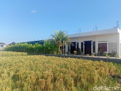 Penampakan Rumah Reyna Usman yang Digeledah KPK di Bali: Mirip Vila