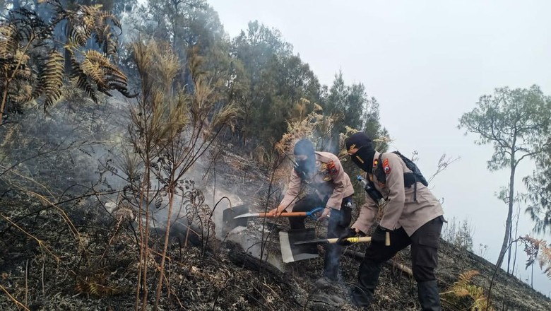 Tiga Orang Diperiksa Polisi Terkait Kebakaran Gunung Arjuno