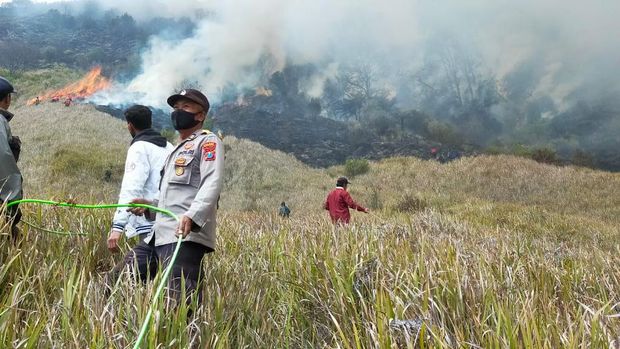 Polisi memeriksa 6 orang diduga penyebab kebakaran Gunung Bromo