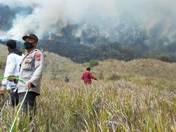 Kebakaran Gunung Bromo, Foto Prewedding Berakhir Bencana