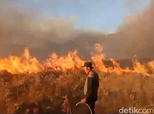 Nasib Wisata Bromo Usai Bukit Teletubbies Kebakaran Akibat Flare Prewedding Nasib Wisata Bromo Usai Bukit Teletubbies Kebakaran Akibat Flare Prewedding