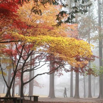 Pulau Nami / Foto: scmp.com
