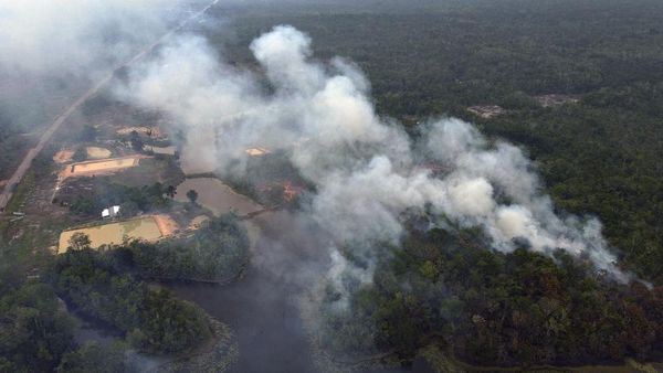 Amazon Kembali Dihabisi Kebakaran Hutan
